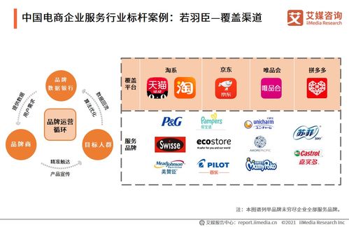 智引未來 2021年中國電商領域企業服務行業信息咨詢服務深度洞察